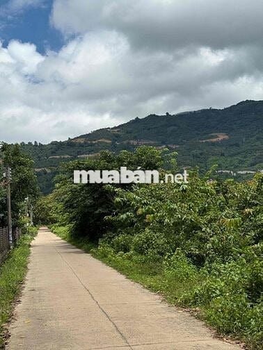 BÁN LÔ ĐẤT THỔ CƯ SỔ RIÊNG NGAY KDL NÚI CHỨA CHAN, XUÂN LỘC, ĐỒNG NAI