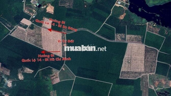 BÁN ĐẤT XÃ NHA BÍCH, CHƠN THÀNH - BÌNH PHƯỚC 209m² -370TR BAO SANG TÊN