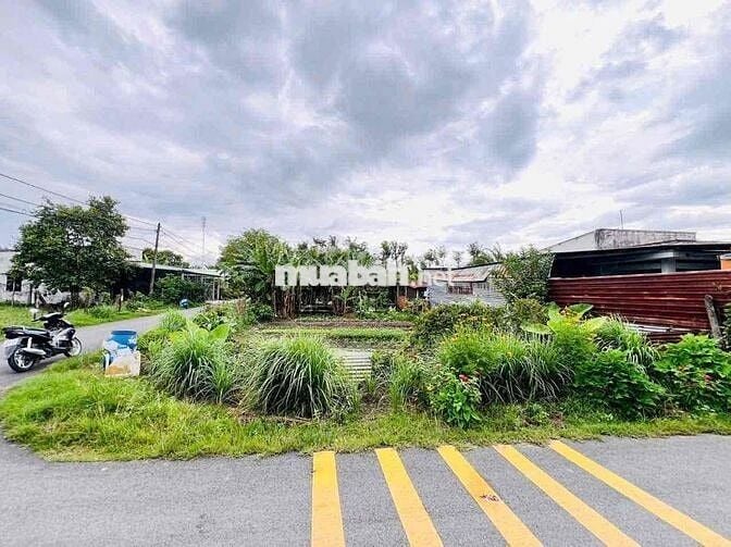 Siêu hiếm! 295,8m² đất thổ cư MT Võ Thị Du, bán gấp