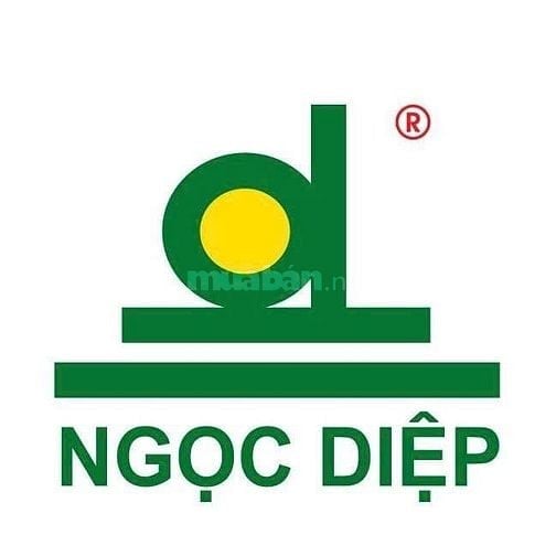 TẬP ĐOÀN NGỌC DIỆP TUYỂN NAM LÁI XE VĂN PHÒNG