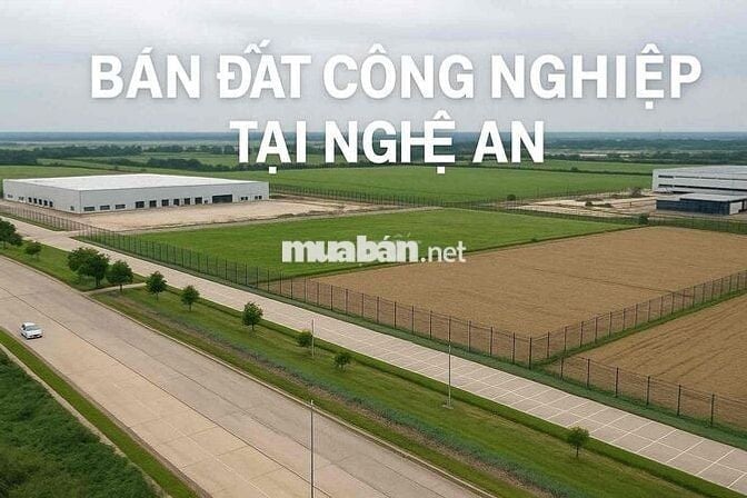 🚀 ĐẤT CÔNG NGHIỆP – TMDV NGHỆ AN, GIÁ TỐT, SỔ SÁCH RÕ RÀNG 🚀