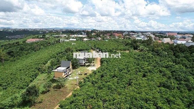 Đất chính chủ 590m2 hai mặt tiền trung tâm khu dân cư Bảo Lộc