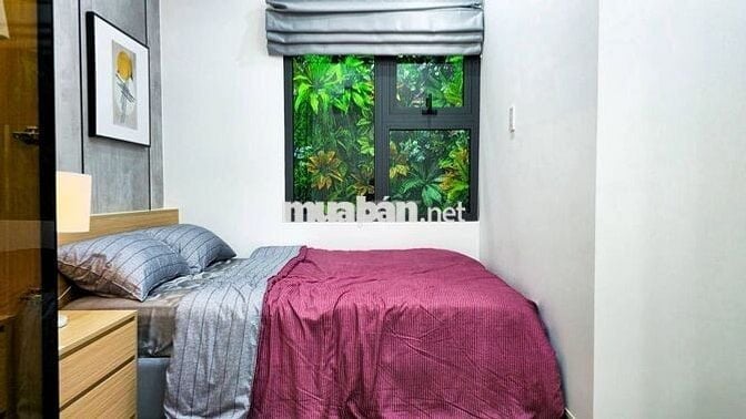 Căn hộ Bình Chánh 2PN giá chỉ 1,55 tỷ SHR