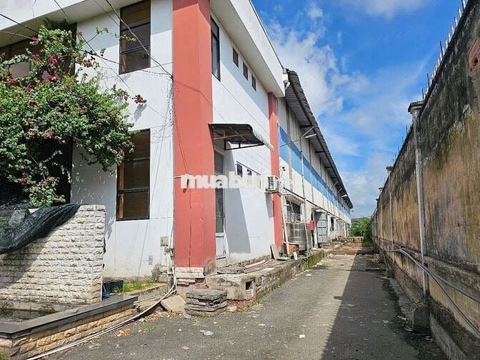 Cho thuê kho xưởng 2.400m2, trong KCN Tân Tạo, Bình Tân, PCCC tự động