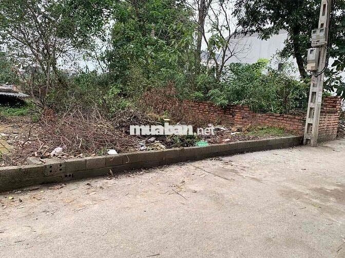 BÁN GẤP 78M TRUNG TÂM HÀNH CHÍNH XÃ PHÚ CÁT HÀ NỘI SÁT NHÀ MÁY IN TIEN