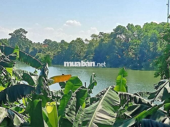 NGHỈ DƯỠNG VIEW HỒ TOÀN PHẦN NGÕ ÔTÔ DT 383,9M TC 120M MT 13M GIÁ 8TỶ