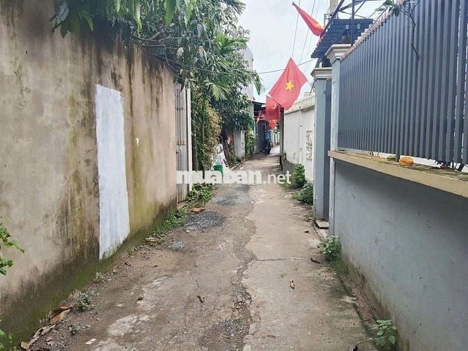 Cho Thuê Nhà Nguyên Căn Hẻm Số đỏ, Cồn Khương