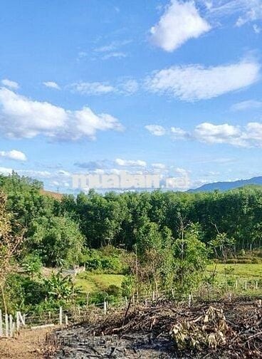 CẦN BÁN ĐẤT NHÀ VƯỜN, NGAY KHU TÁI ĐỊNH CƯ HÒA NINH, SỔ HỒNG CHÍNH CHỦ