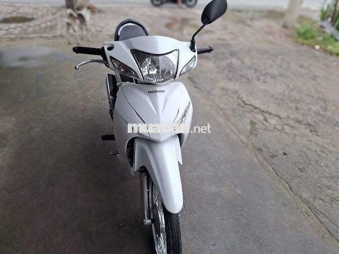 HODA Wave 110 .đk 2020 .bs 62  Càvet đầy đủ