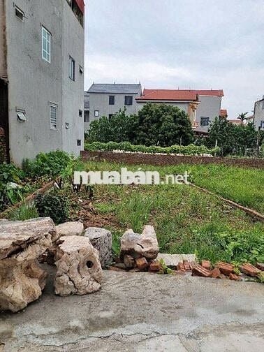 ✨️Bán 80m2 Đại Thịnh, Mê Linh – MT rộng,Ô Tô đỗ cửa–Trung Tâm Mê Linh