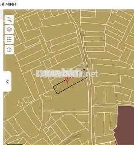 Gò Vấp HXH 6m | Lô đất vuông A4 hiếm | Cơ hội xây CHDV sinh lời 12%