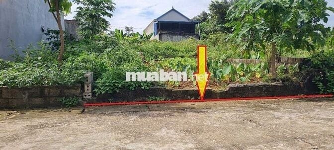 Chính chủ đứng tên sổ đỏ bán đất khu tái định cư sân Golf Sky Lake