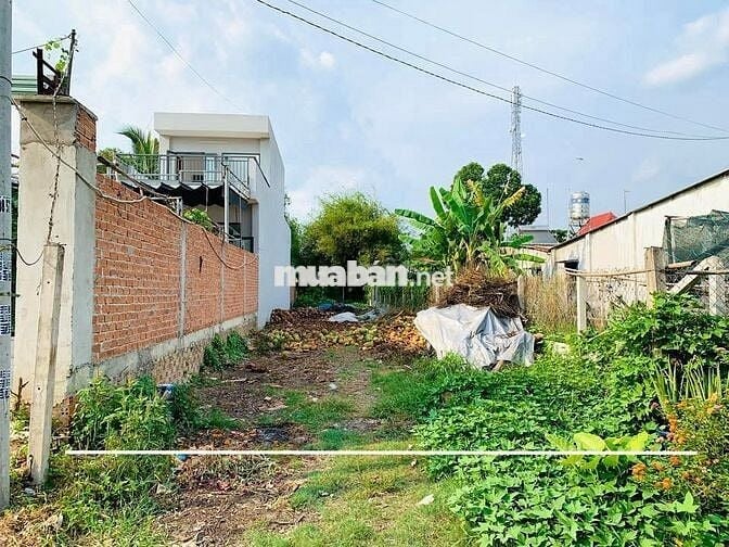 BÁN ĐẤT AN HOÀ, 212M2, THỊ TRẤN TRẢNG BÀNG, 420TR