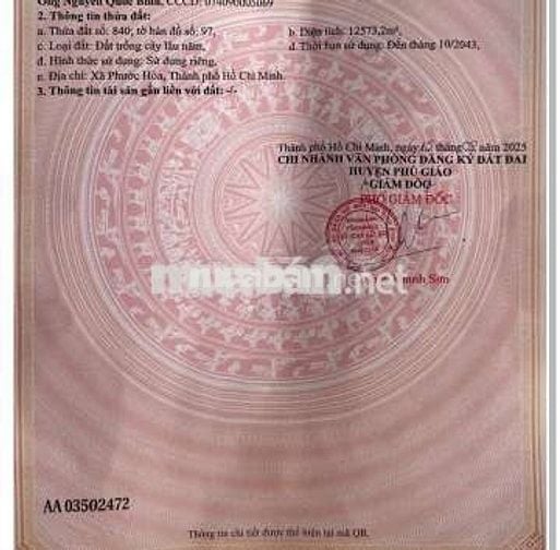 Đất quy hoạch SKC sản xuất kinh doanh 1,3ha giá 10,7 tỷ xã Tam Lập