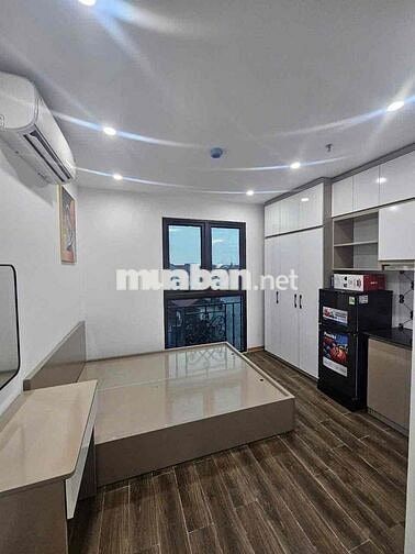 CHÍNH CHỦ CHO THUÊ CĂN HỘ MINI FULL NỘI THẤT NGAY TRẦN CẢNH CHÂN - Q1
