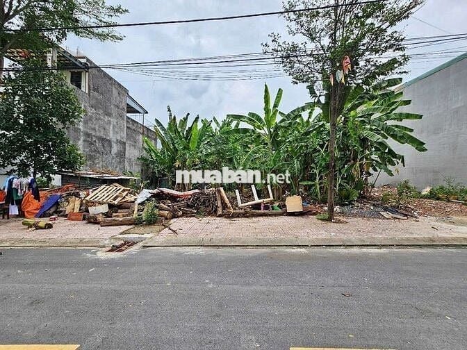 Đất kdc Đất mới phường Tân Bình Tp Dĩ An