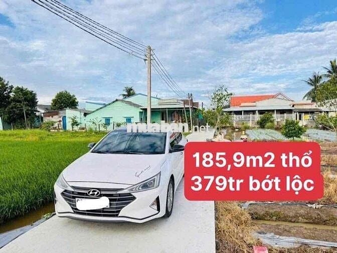 ⭐️ QUÁ RẺ ⭐️ Đất thổ 186m2 Bình Tịnh. Xe hơi ngay đất, cách DT833 300m