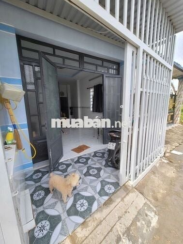 Mình cần bán căn nhà đang ở , hiện trạng mới, nhà SHR