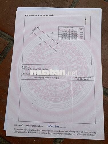 🔥 ĐẤT ĐẸP – VỊ TRÍ VÀNG GIỮA LÒNG HƯỚNG ĐẠO – TAM DƯƠNG 🔥  🏡 Lô đất c