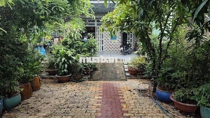 MẶT BẰNG KINH DOANH 260m2 ĐƯỜNG HUỲNH BÁ CHÁNH, XÃ TÂN NHỰT