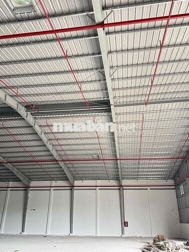 GIỚI THIỆU:   CHO THUÊ XƯỞNG NAM TÂN UYÊN