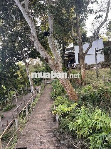 Cho thuê nhà cấp 4  nguyên căn view ruộng, đẹp, mát