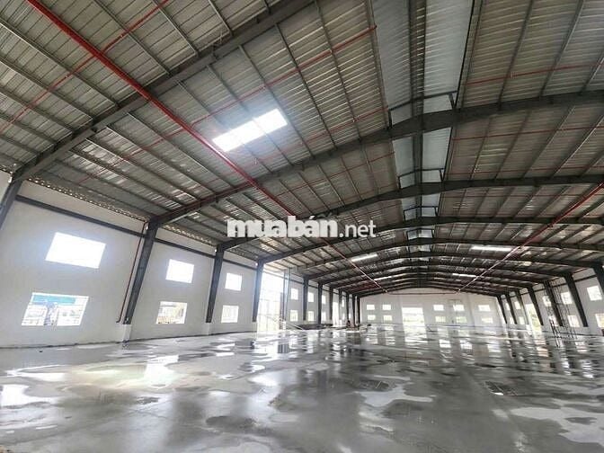 Cho thuê xưởng 2600m2 tại Vĩnh Tân Tân Uyên Bình Dương