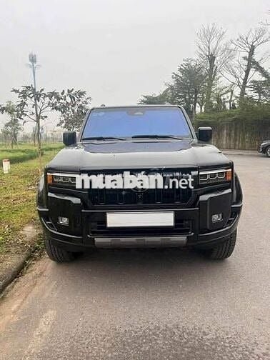 Toyota LandCruiser LC250 sx2024