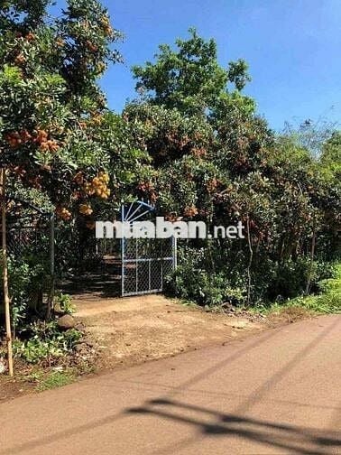 VỊ TRÍ VÀNG TIỀM NĂNG TĂNG GIÁ CAO