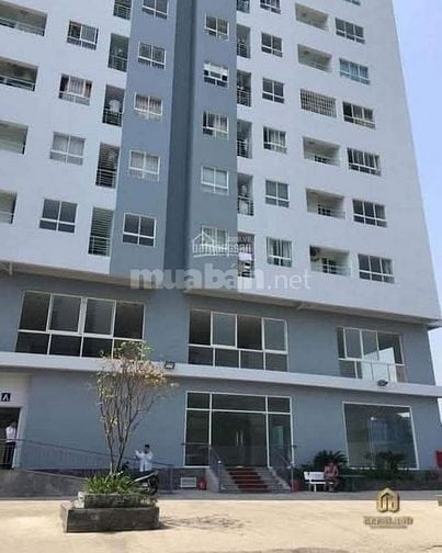 Rẻ nhất khu vực Cân Cho thuê căn hộ chung cư ngay Ủy ban Quận Tân Phú