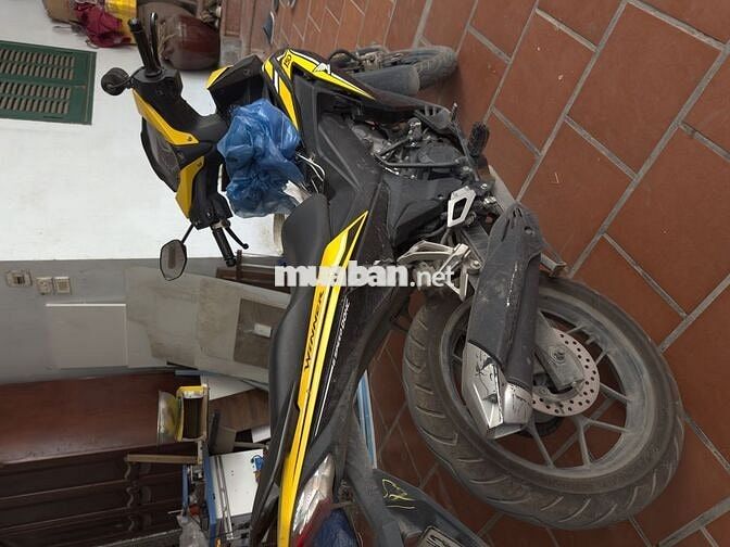 Winner V1 2019 Vàng Đen
