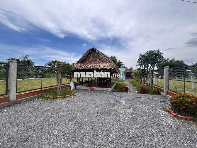 BÁN ĐẤT THỔ gần KCN PHƯỚC ĐÔNG giá 780tr Gia Lộc ,Trảng Bàng DT 200M2