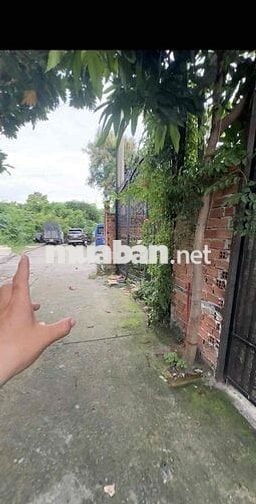 - Bán Đất - 98M2 - Hẻm 6M - Trường Chinh - Quận 12 - 4 Tỷ Nhỉnh