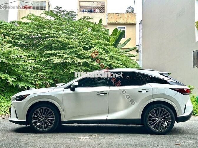 Lexus RX350 luxury