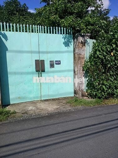 Bán 5000m đất đường Dương Đình Cúc, Tân Kiên , Bình Chánh