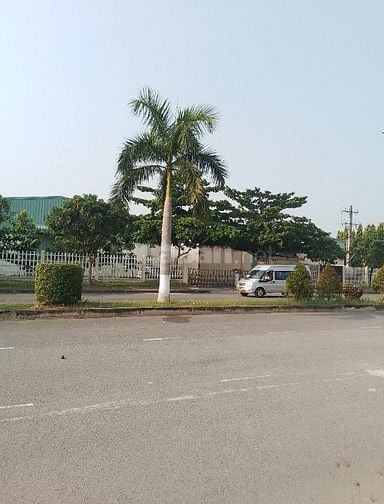 cho thuê nhà xưởng hoặc kho hàng