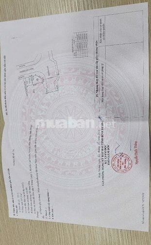 LÔ GÓC 2 MẶT TIỀN NGAY TRUNG TÂM BÀU BÀNG SỔ SẴN