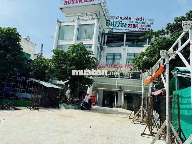 cho thuê nhà 1 trệt 3 lầu MT Nguyễn Văn Linh 14x20 có thang máy