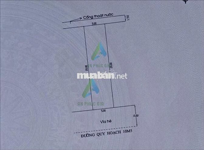 BÁN ĐẤT MẶT TIỀN ĐƯỜNG 10m5 ĐÀM VĂN LỄ, 5tỷ2