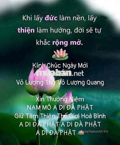 cho thuê nhà Huỳnh Tấn Phát 4.5x17.5 giá 20 tr/ tháng