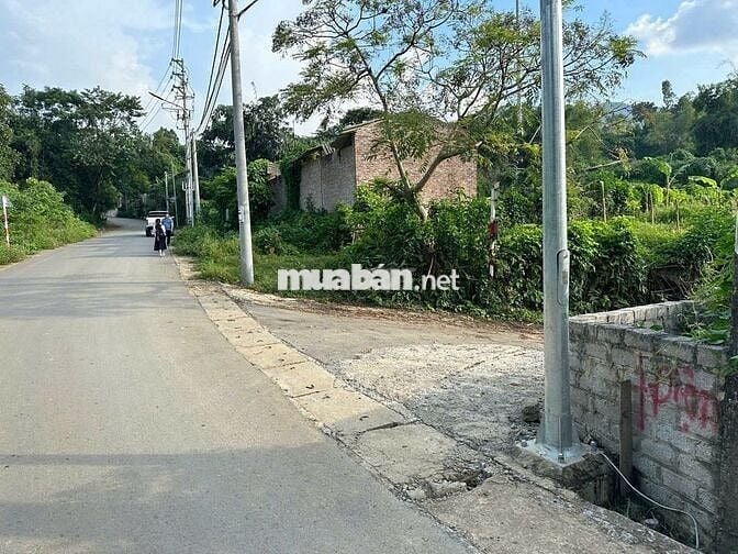 CHÍNH CHỦ CẦN BÁN GẤP LÔ ĐẤT 570M SẴN 100M2 THỔ CƯ, TRỤC CHÍNH PHÚ MÃN
