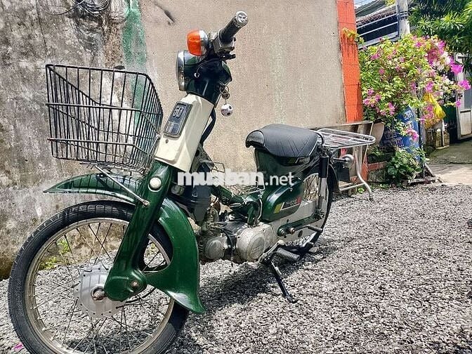 Super Cub 81 Bstp 50cc
