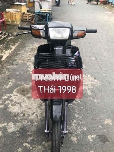 🌻DREAM  Lùn Thái 1998 Bs F4 bốn con🌼đồng hồ báo số