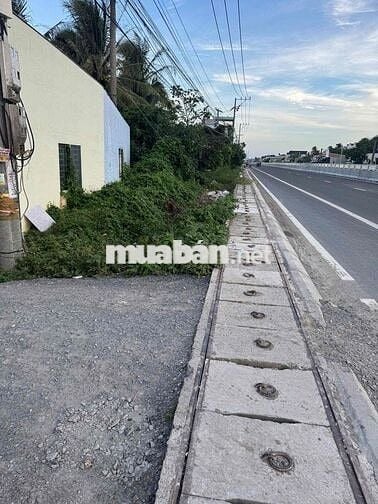 cần bán đất nền diện tích 254m2