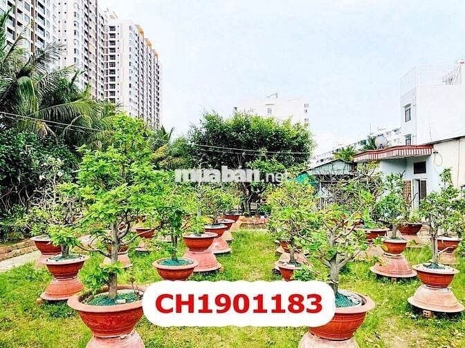 Đất MT Khu Võ Văn Kiệt - 24 x 80M - 59 Tỷ - Quận Bình Tân