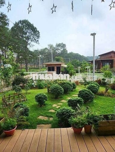 NGỘP BANK lô đất vườn có nhà gỗ sẵn view đẹp tại Lạc Dương chỉ 990tr