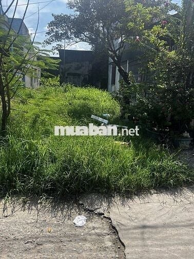 Đất thổ cư 160m² Tân Long, cách biển 1km, chợ Lagi 500m, đường ô tô