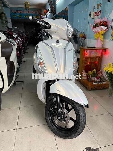 grander 2021 abs