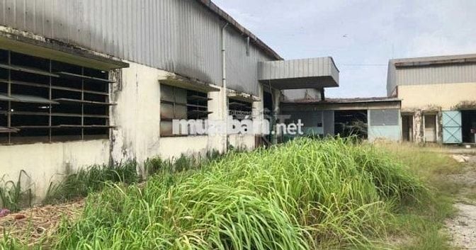Cho thuê kho xưởng sản xuất Bến Cát - BD