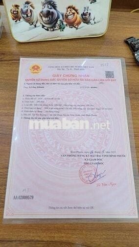 Đất thổ cư .diện tích 200m2 . thổ cư 100. mặt tiền đường nhựa
